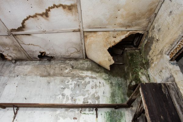 Cost of Water Damage Service in Parker