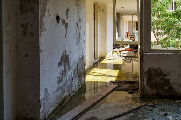 Cost of Water Removal Service in Parker